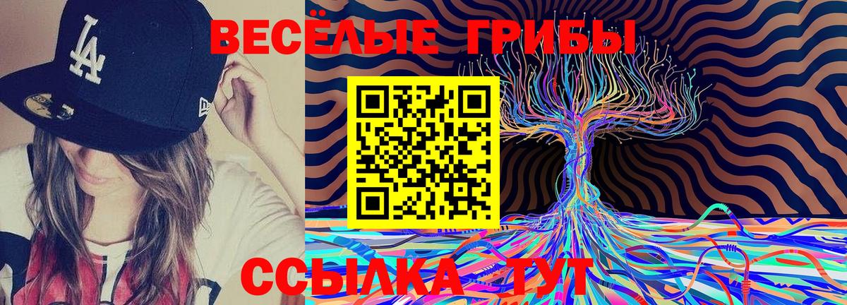 Богородск  Галлюциногенные грибы Magic Shrooms  Галлюциногенные грибы мухоморы  Вход с VPN 